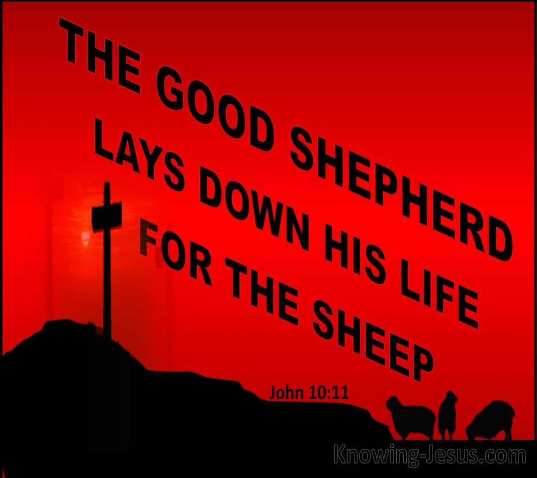John 10:11 The Good Shepherd Lays Down His Life (red)